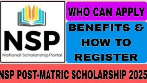 NSP Post-Matric Scholarship 2025