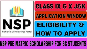 NSP Pre Matric Scholarship For SC Students